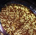 Load image into Gallery viewer, Starshow Shadow Pot 008, A Vibe
